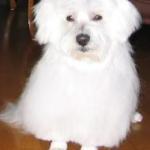 Park Seobang Hanjeongsik